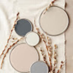 Meet your Posher, Amelia